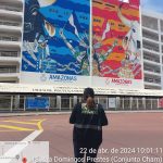 Fiscalização do Crea Amazonas realiza ações no Bumbódromo de Parintins – CREA-AM