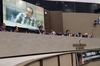 GT Rodovias participa de Audiência Pública na CMM sobre a BR-319 – CREA-AM