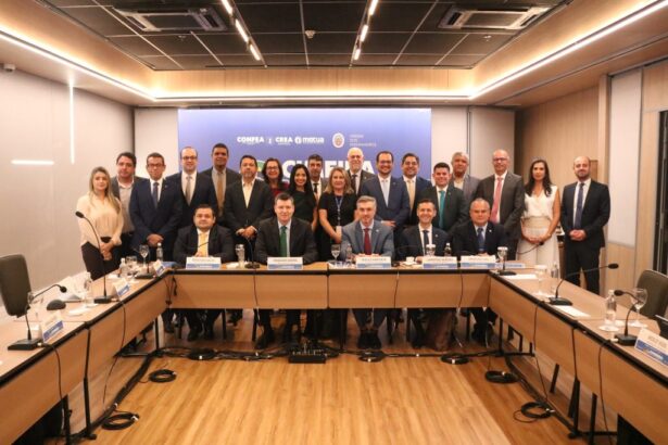 Definidas regras para engenheiros brasileiros sêniores em Portugal