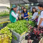 Prefeitura de Manaus realiza primeira edição do circuito ambiental