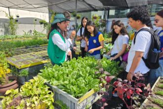 Prefeitura de Manaus realiza primeira edição do circuito ambiental