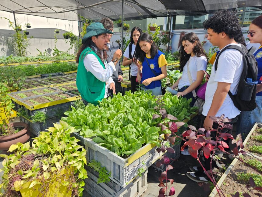 Prefeitura de Manaus realiza primeira edição do circuito ambiental