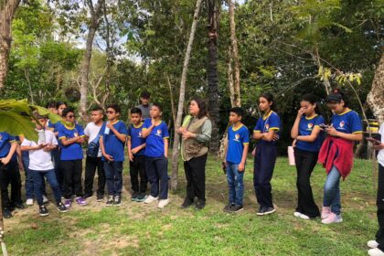 Estudantes participam de aula de educação ambiental