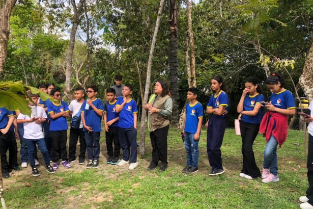 Estudantes participam de aula de educação ambiental