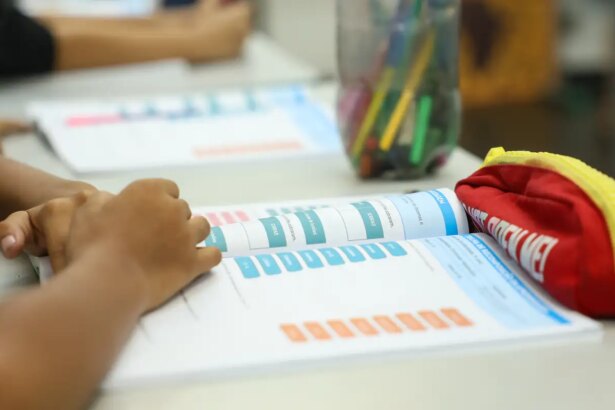 Censo Escolar 2026: dados da 1ª etapa podem ser conferidos até dia 11